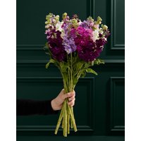 M&S Flower Market Stock Abundance Bouquet