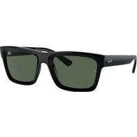 Ray-ban Warren RB4396 667771