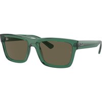 Ray-ban Warren RB4396 6681/3