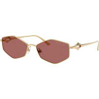 Jimmy Choo JC4017 302369 Sunglasses