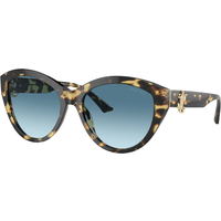 Jimmy Choo JC5007 500419 Sunglasses