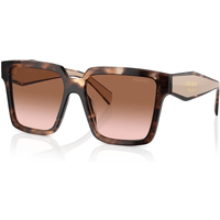 Prada PR24ZS 07R0A6 Sunglasses