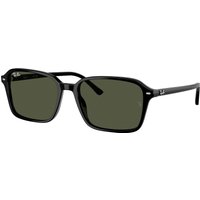 Ray-ban Raimond RB2231 901/31