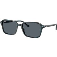 Ray-ban Raimond RB2231 1417R5