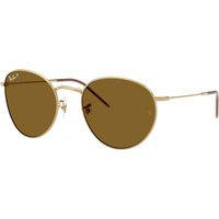 Ray-ban Round Reverse RBR0103S 001/83
