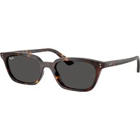 Ray-ban Zaya RB4456 135987