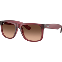 Ray-Ban Justin RB4165 6815A5 Sunglasses