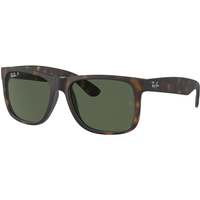 Ray-Ban Justin RB4165 865/9A Polarised Sunglasses