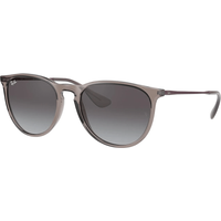 Ray-Ban ERIKA RB4171 65138G Sunglasses