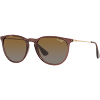 Ray-Ban ERIKA RB4171 6593T5 Polarised Sunglasses