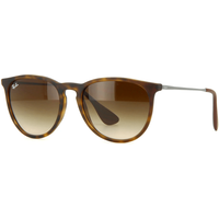Ray-Ban Erika RB4171 865/13 Sunglasses