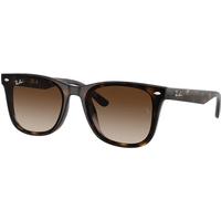 Ray-Ban RB4420 710/13 Sunglasses