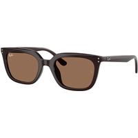 Ray-Ban RB4439D 6231/73 Sunglasses