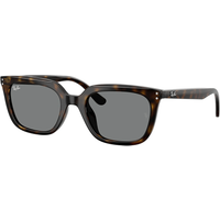 Ray-Ban RB4439D 710/87 Sunglasses