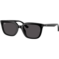 Ray-Ban RB4439D 901/87 Sunglasses