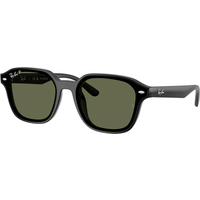Ray-Ban RB4458D 601/9A Polarised Sunglasses