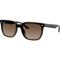 Ray-Ban RB4466D 714/13 Sunglasses