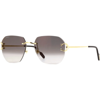 Cartier CT0394S 001 Sunglasses
